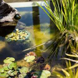 childcare-centre-landscape-construction-10