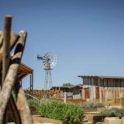 childcare-centre-landscape-construction-22