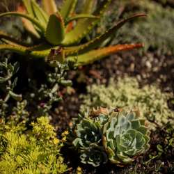 childcare-centre-landscape-construction-26
