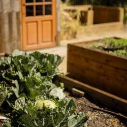 childcare-centre-landscape-construction-28