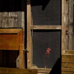 childcare-centre-landscape-construction-29