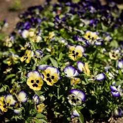 childcare-centre-landscape-construction-30