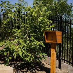 childcare-centre-landscape-construction-32